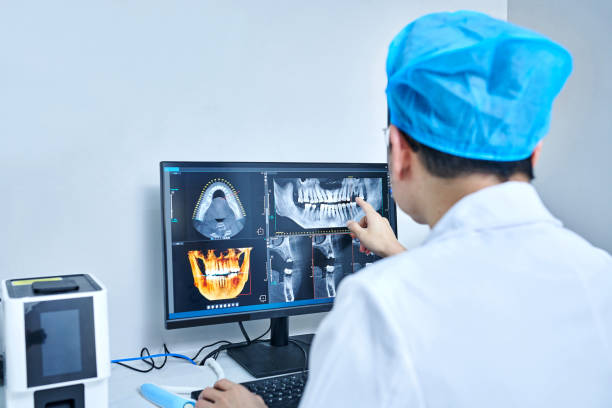 Best Emergency X-Rays and Diagnostics in Palermo, NJ